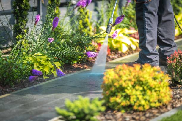 Reliable Dovesville, SC Pressure Washing Services Solutions